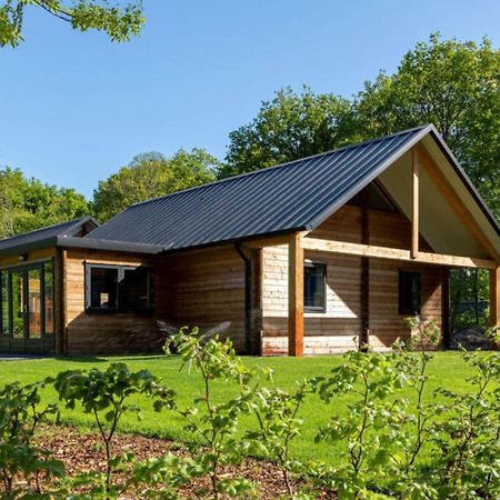 Cosy Wooden House Amid Woods In Soesterberg Utrecht Kültér fotó