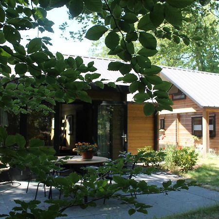 Cosy Wooden House Amid Woods In Soesterberg Utrecht Kültér fotó